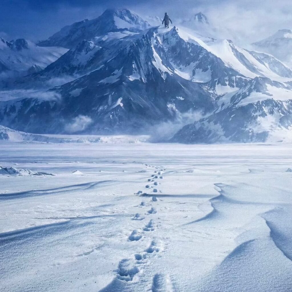 Instagram post from pakpal.chaipatti. This post is in position 2.